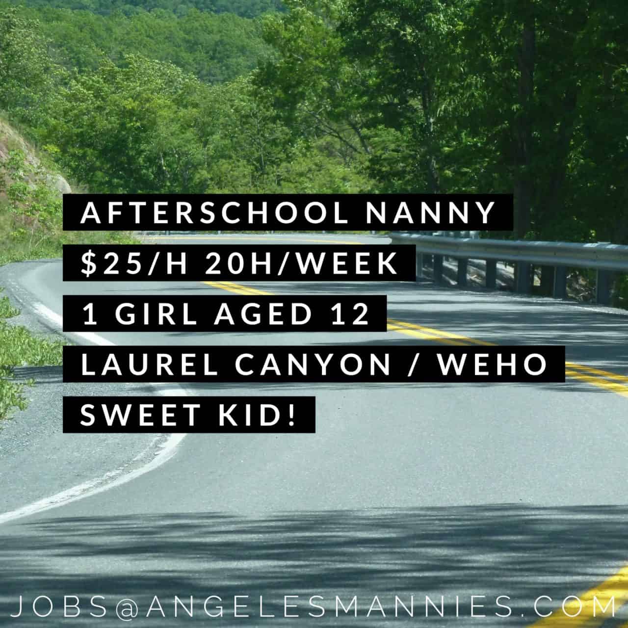 After school nanny